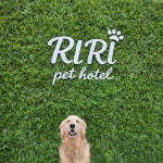 리리펫호텔 & 유치원