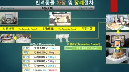 리멤버 반려동물장례식장