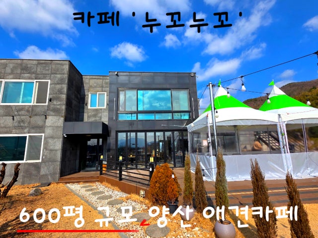 누꼬누꼬