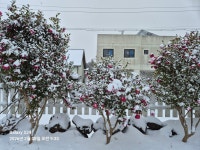 삼달리이야기