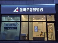 올바로동물병원