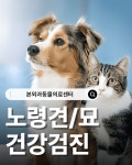 본외과동물의료센터