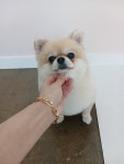 댕살롱