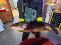 또와또 실내낚시터 낚시카페 간석동