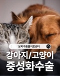 본외과동물의료센터