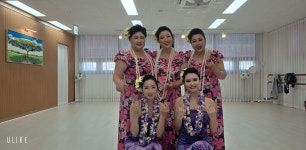 플루메리아 하와이 훌라 협회