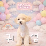 은밀하개위대하개