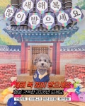 애견유치원 멍멍아학교가자 대명점