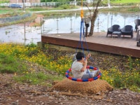 자라나다