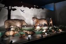 경상북도산림과학박물관