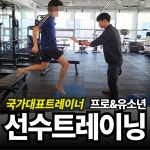 코리아 피티