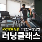 코리아 피티