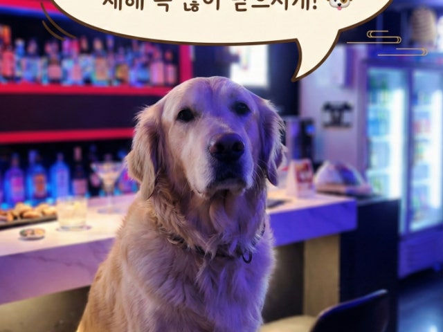 그루비24.7