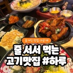 하루 롯데백화점 대전점