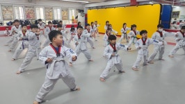 연세대 한양태권도