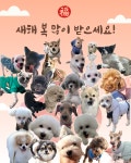 몽개몽개 애견호텔&애견유치원