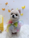 그루몽실