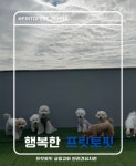 프릿토핏 긍정강화 애견유치원 안산점