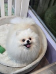 꾸앤쏭