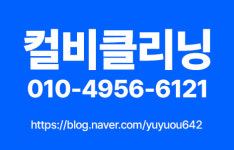 입주청소