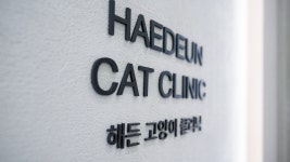 24시해든동물의료센터 의정부점