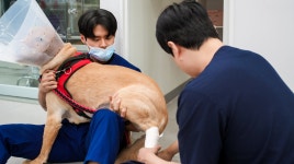 24시해든동물의료센터 의정부점