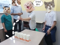 세스토킹클래스 영어학원