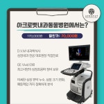 아크로벳내과동물병원