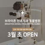 브라이튼안과치과동물병원