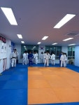 구성 JNS 유도체육관