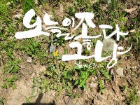 만세공인중개사사무소