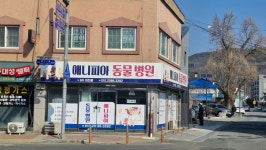 애니피아동물병원