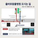 올바로동물병원