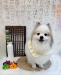 데려오개