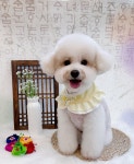 데려오개