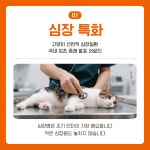 봄 동물의료센터