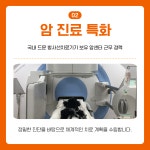 봄 동물의료센터