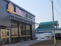 드림 카 서비스