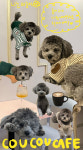 꾸꾸카페