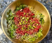 목장원 힐링가든