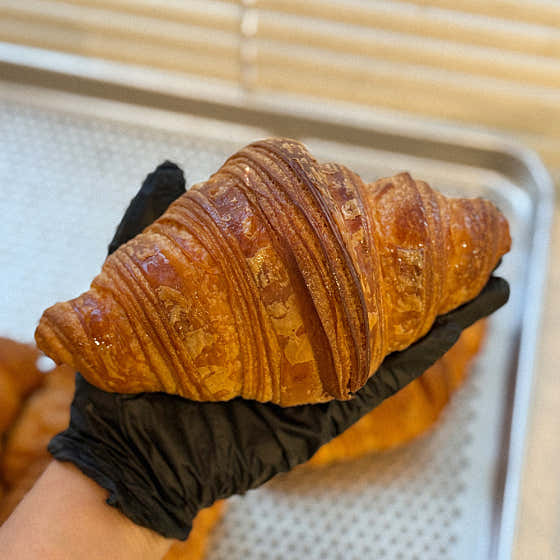 위니오븐 WEENY OVEN 사진