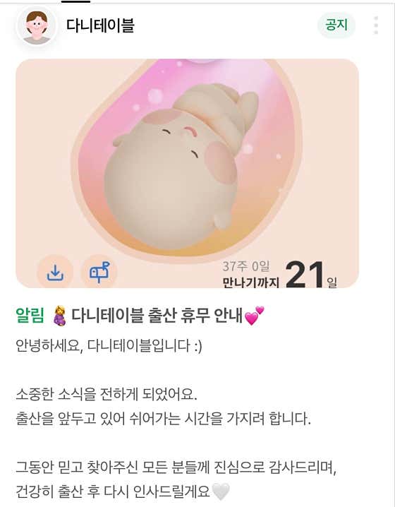 다니테이블 사진