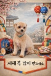 크라운 그루밍