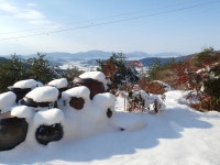 마담퐁텐