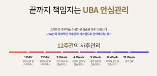 UBA성형외과의원