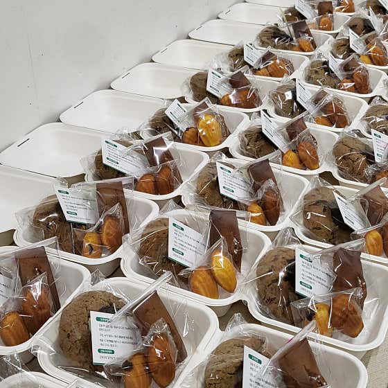 토리토리 사진