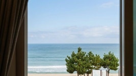 해뜨는창문 애견동반 오션뷰펜션