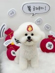 아토몽