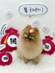 아토몽