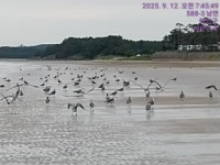 사랑이머무는집